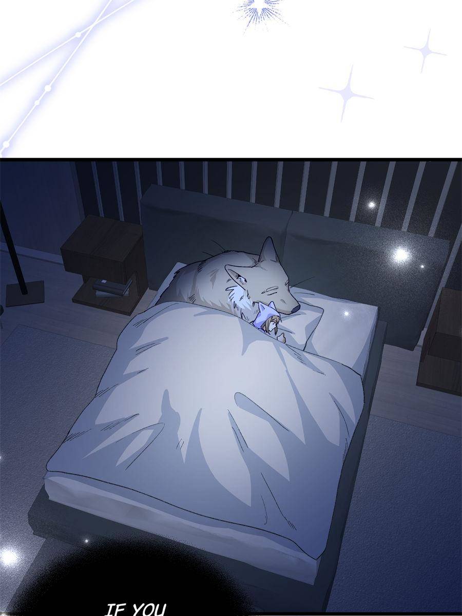 81436194 900 1200 80722