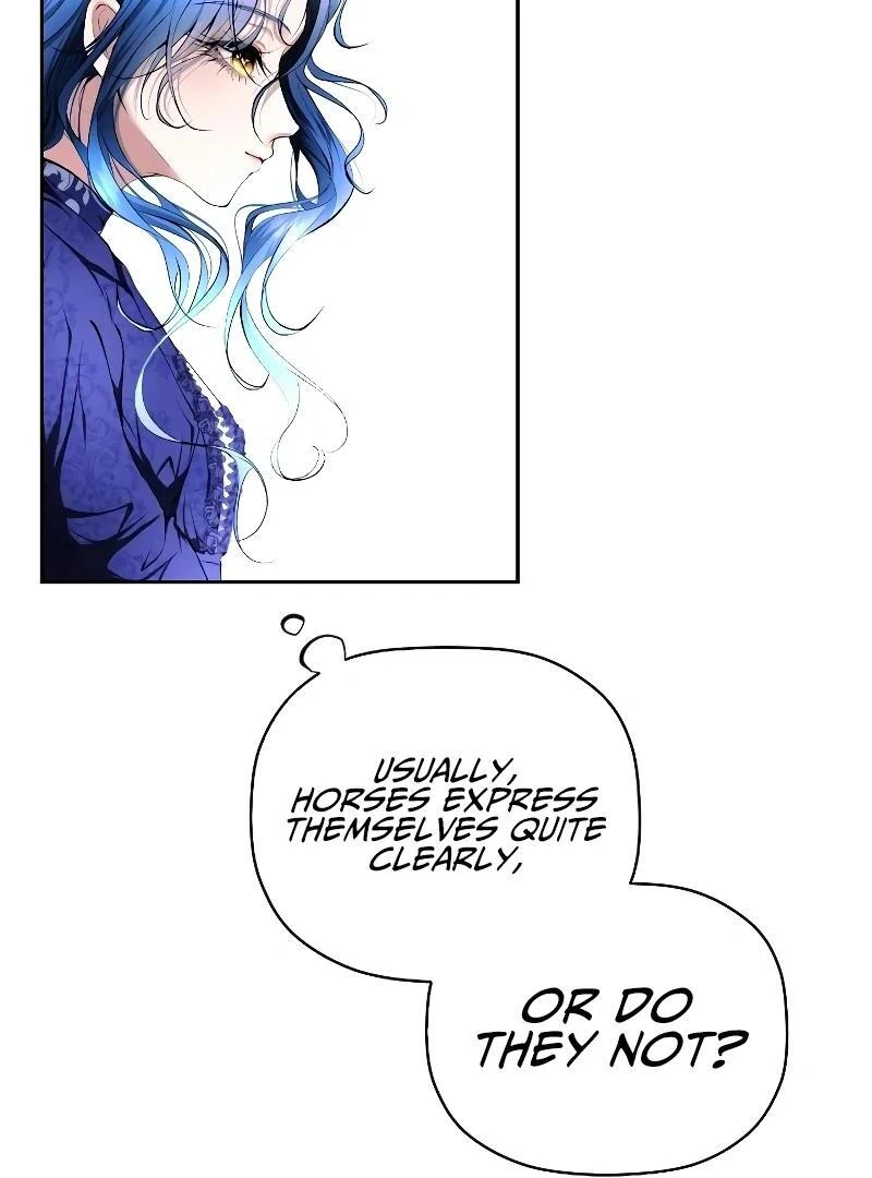 74288330 800 1080 67624